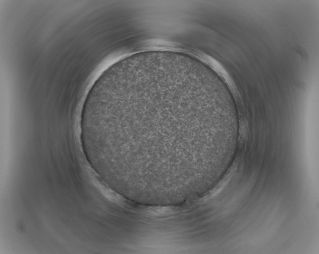 X0000113181435200910021534