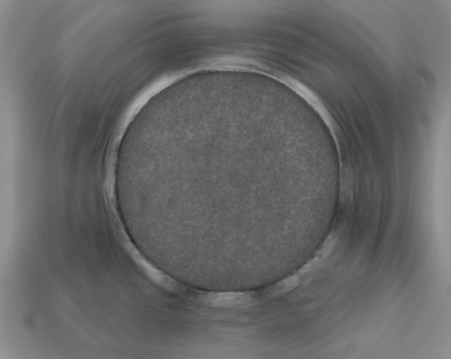 X0000113181437200910021534