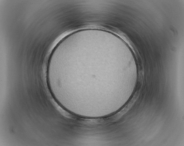 X0000113181438200910021534