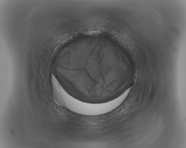 X0000113181441200910021533