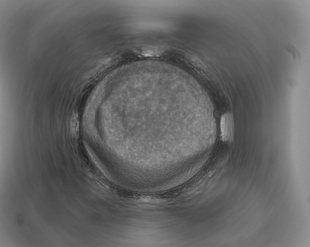 X0000113181443200910021533
