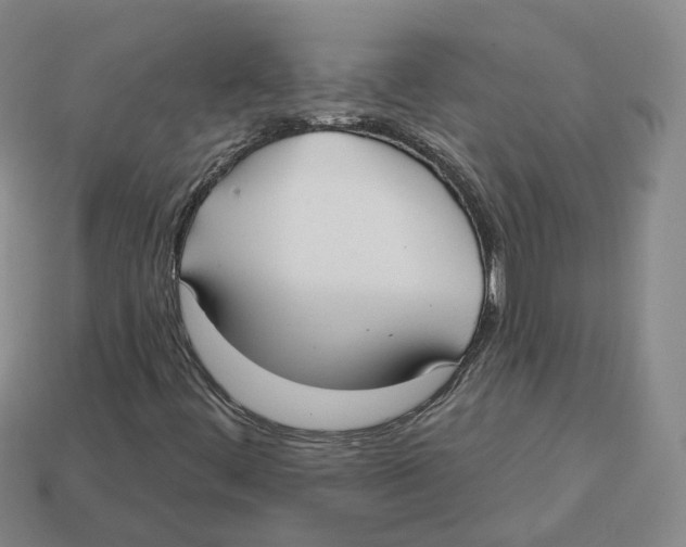 X0000113181444200910021533