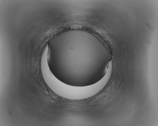 X0000113181445200910021533