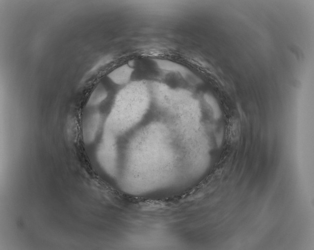 X0000113181446200910021533