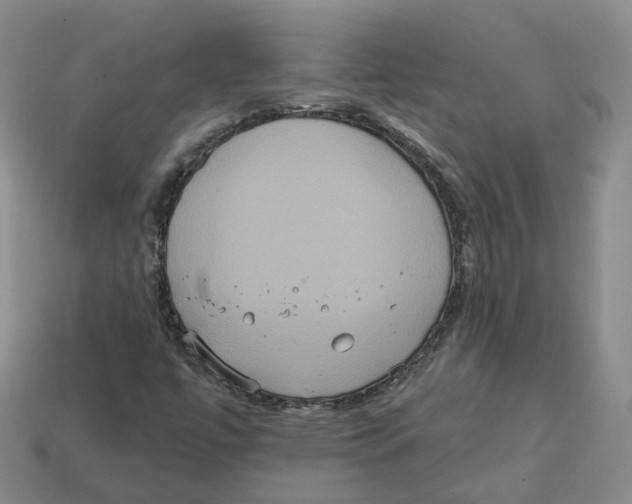 X0000113181447200910021533
