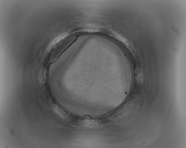 X0000113181448200910021533