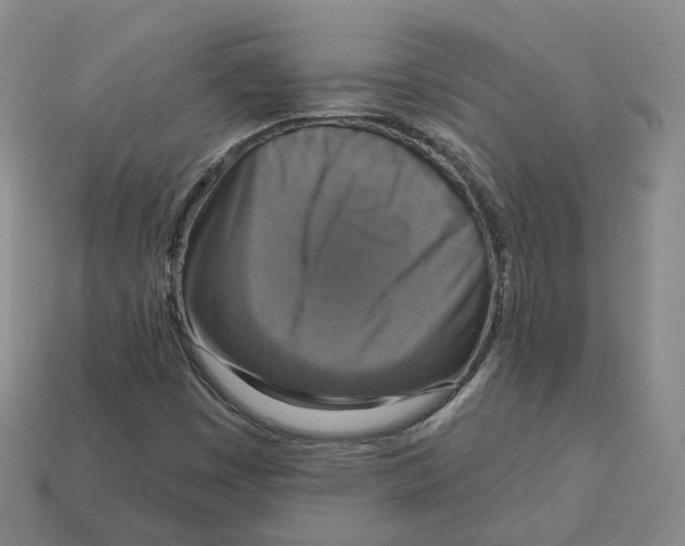 X0000113181449200910021533