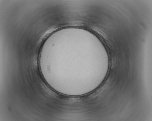 X0000113181451200910021533