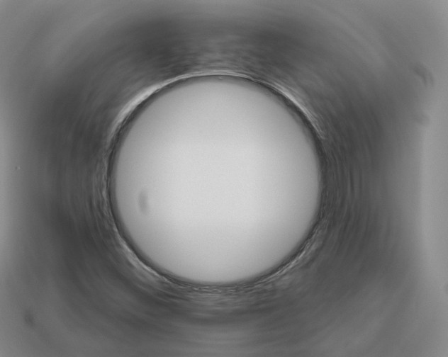 X0000113181452200910021533