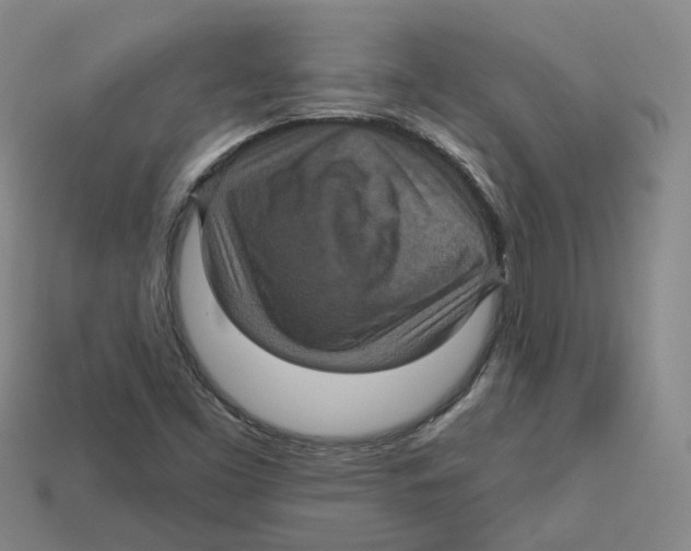 X0000113181453200910021533