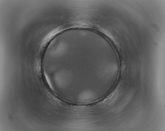 X0000113181455200910021533