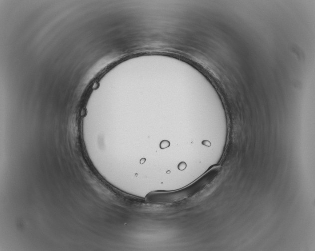 X0000113181458200910021533