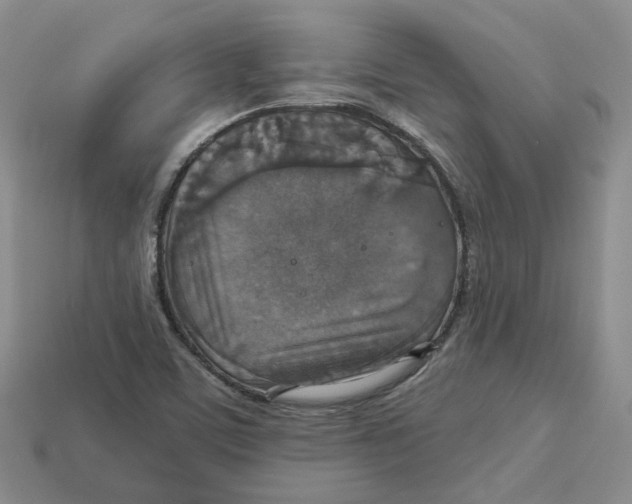 X0000113181459200910021533
