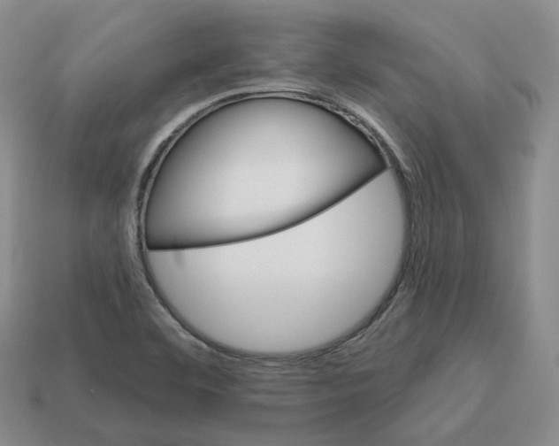 X0000113181460200910021533