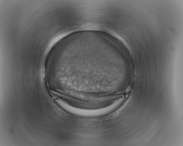 X0000113181461200910021533