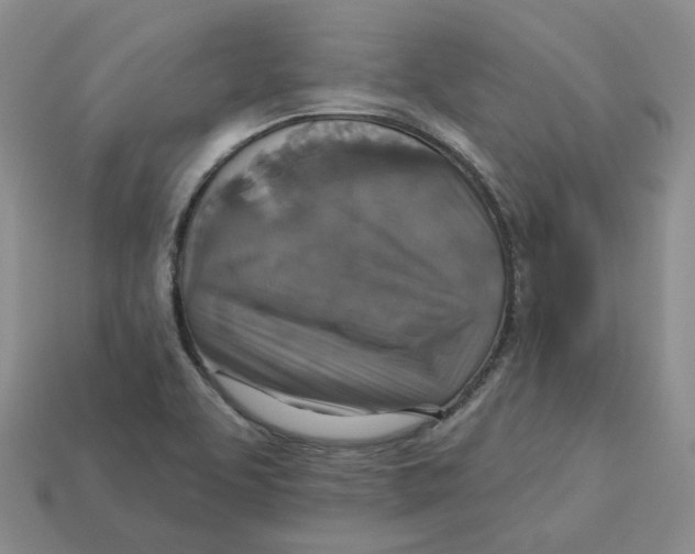 X0000113181463200910021533