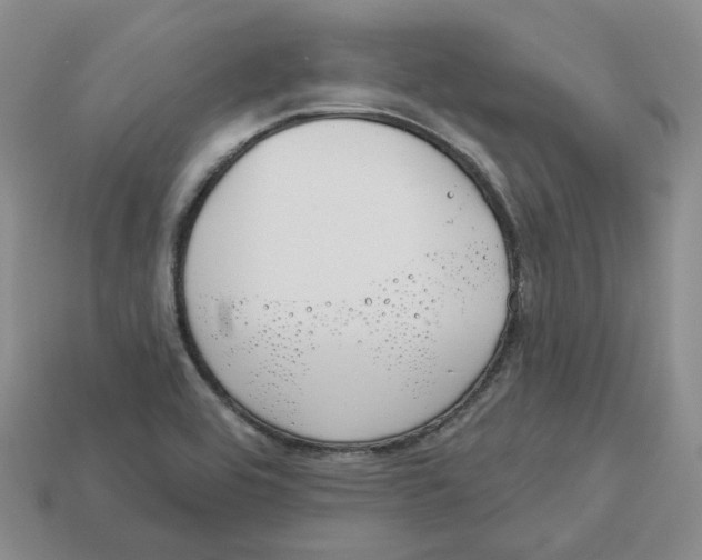 X0000113181464200910021533