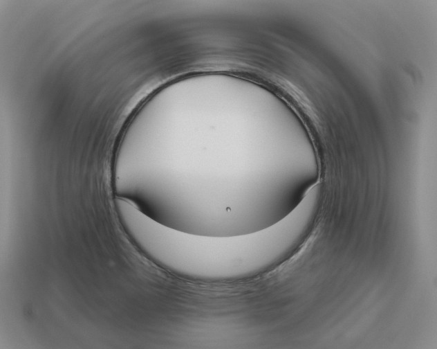 X0000113181465200910021533