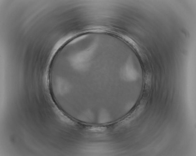 X0000113181466200910021533