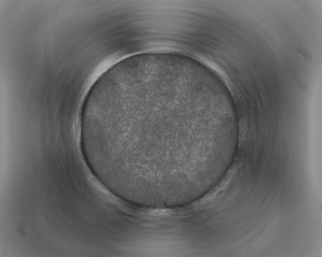 X0000113181467200910021533