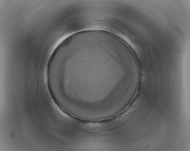X0000113181468200910021533
