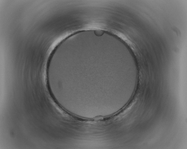 X0000113181469200910021533