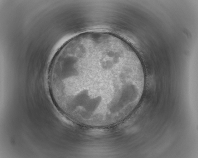 X0000113181470200910021533