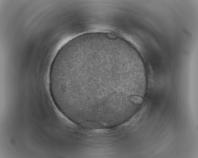 X0000113181471200910021533