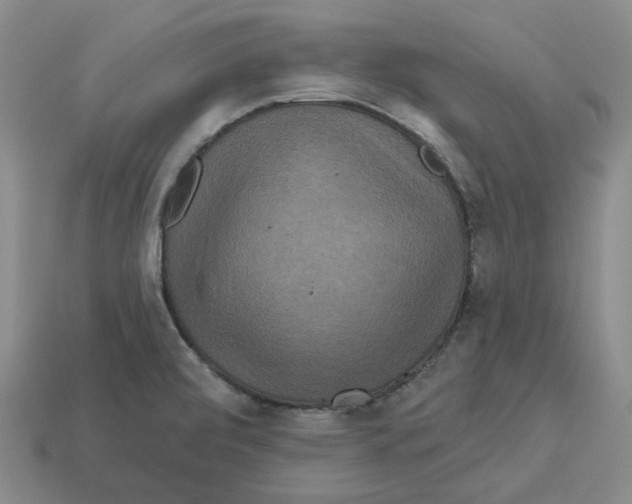 X0000113181472200910021533