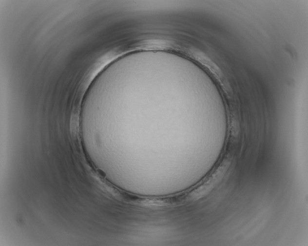 X0000113181473200910021533