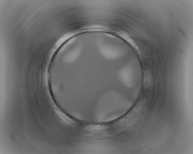 X0000113181474200910021533