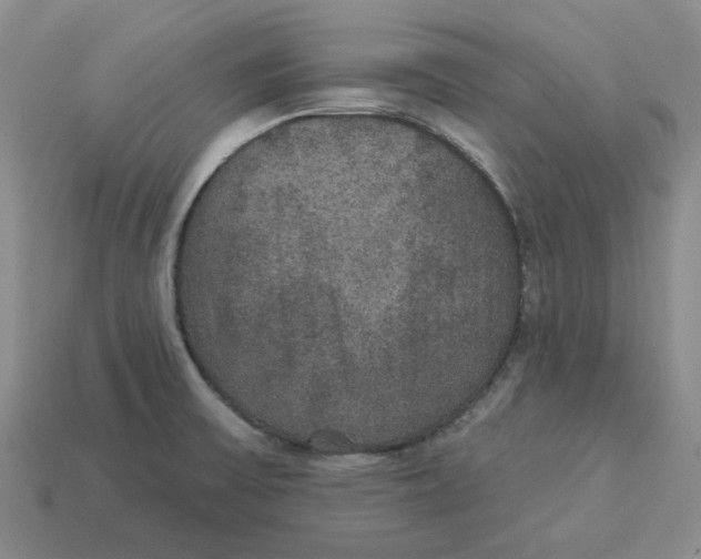 X0000113181475200910021533