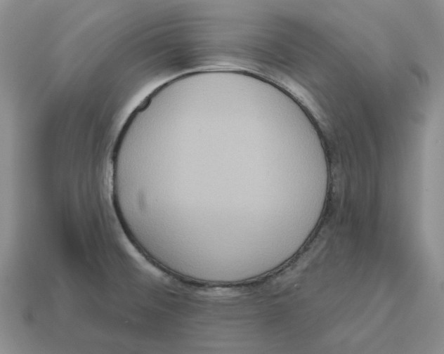 X0000113181476200910021533