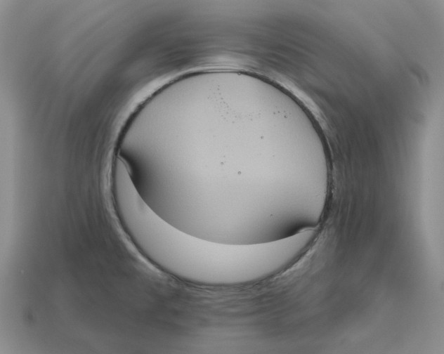 X0000113181477200910021533