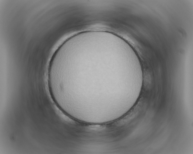 X0000113181478200910021533