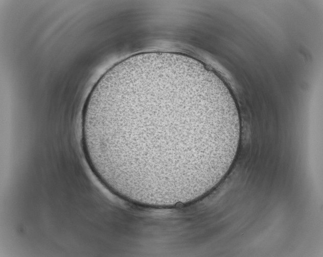 X0000113181479200910021533