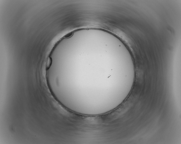 X0000113181480200910021533