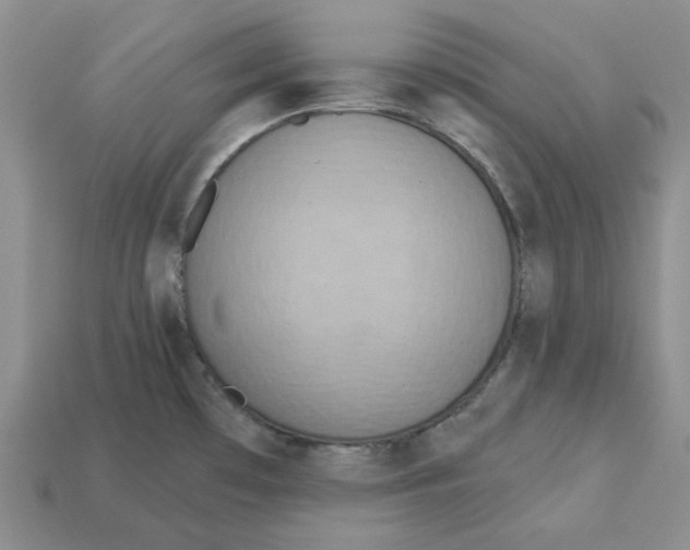 X0000113181481200910021533