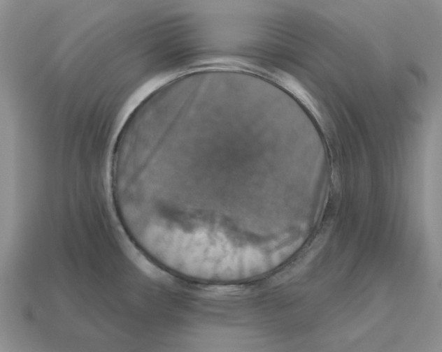 X0000113181482200910021533