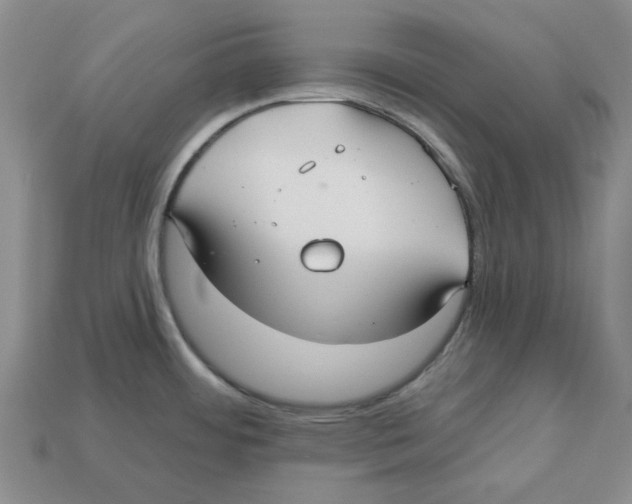 X0000113181484200910021533