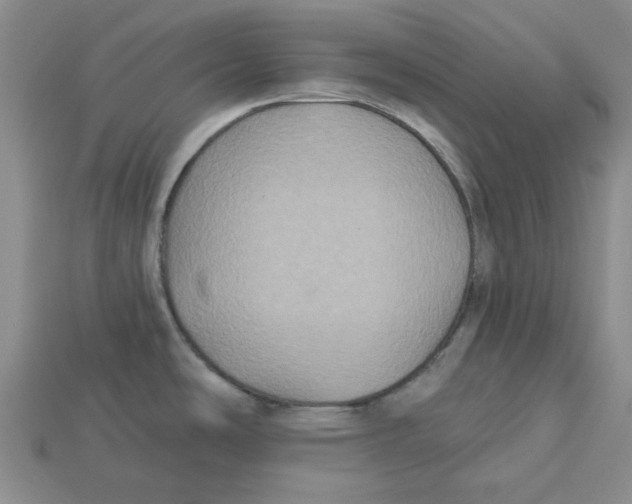 X0000113181486200910021533