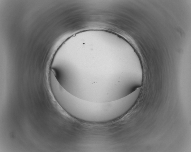 X0000113181488200910021533