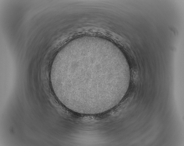 X0000113181489200910021532