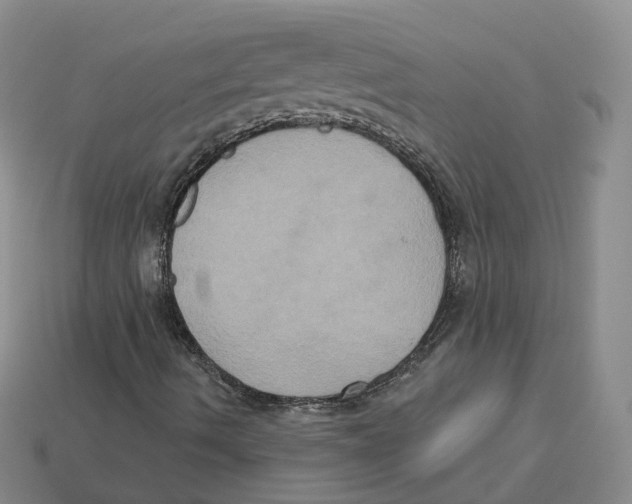 X0000113181490200910021532