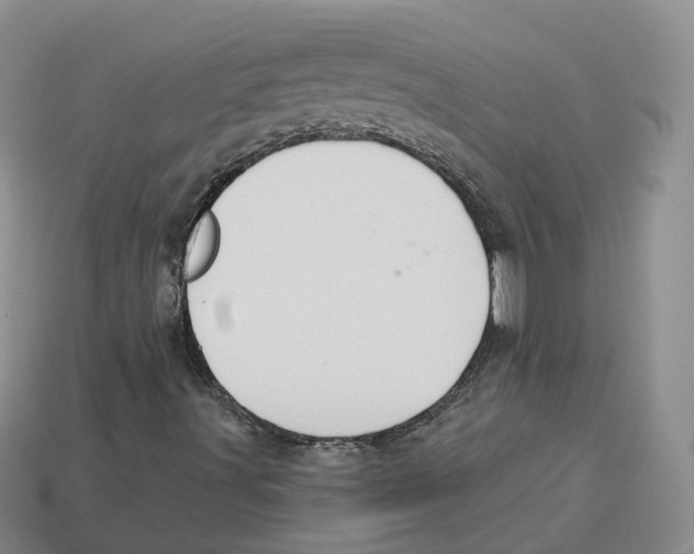 X0000113181491200910021532