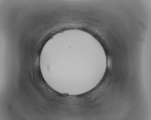 X0000113181492200910021532
