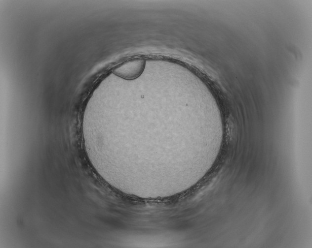 X0000113181494200910021532