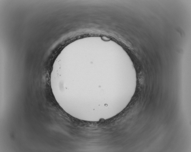 X0000113181495200910021532