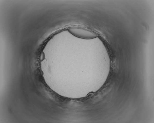 X0000113181496200910021532