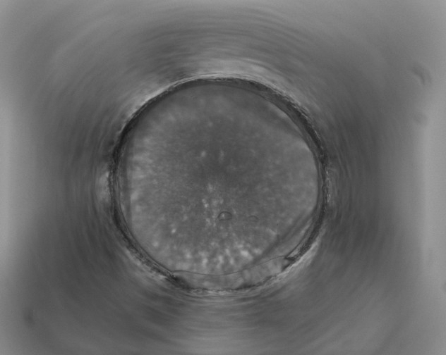 X0000113181497200910021532